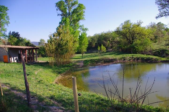 Domaine De Chadeyron Otel Lagorce  Dış mekan fotoğraf