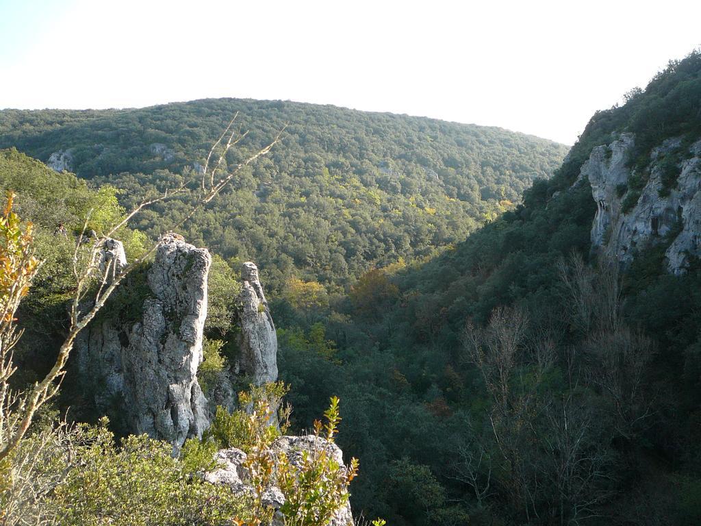 Domaine De Chadeyron Otel Lagorce  Dış mekan fotoğraf